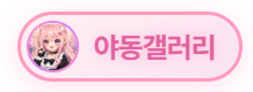 야동갤러리