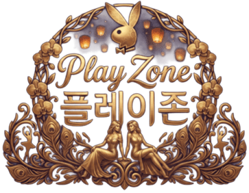 플레이존