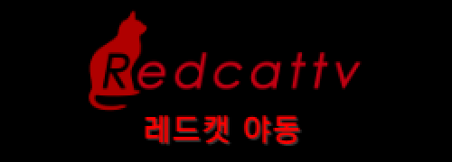 레드캣TV