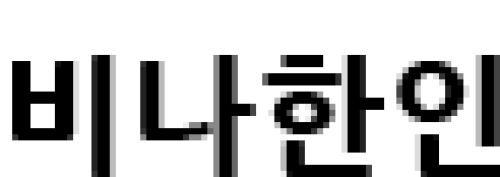 [베트남]비나한인