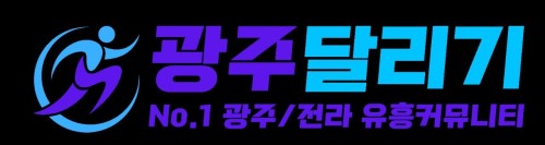광주달리기