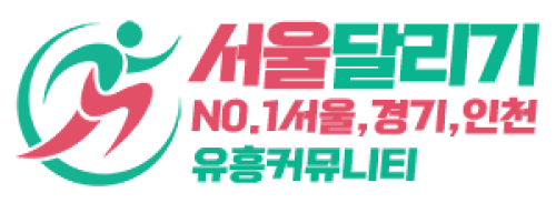 서울달리기